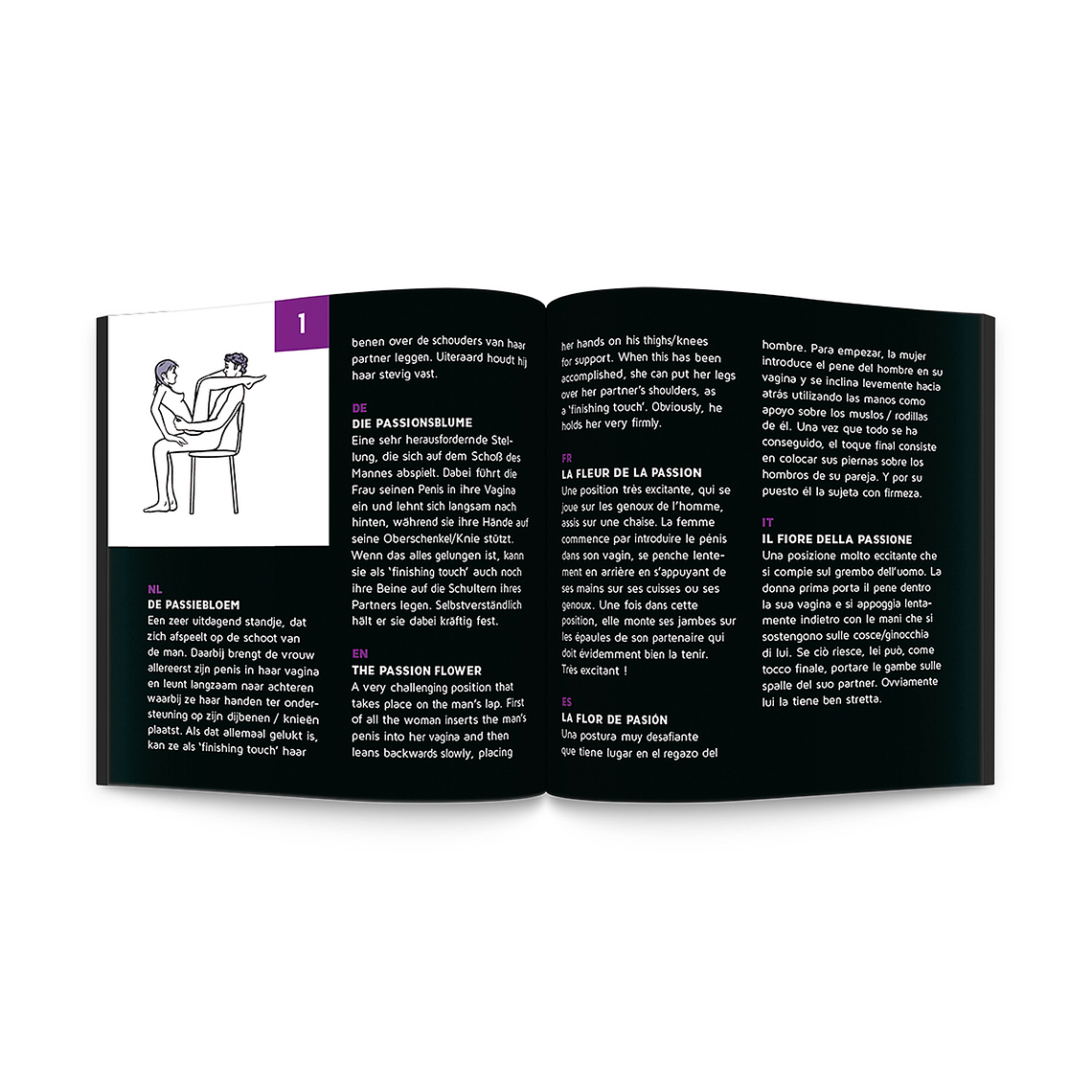 JOGO SEX ROULETTE KAMASUTRA NL-DE-EN-FR-ES-IT-PL-RU-SE-NO 2