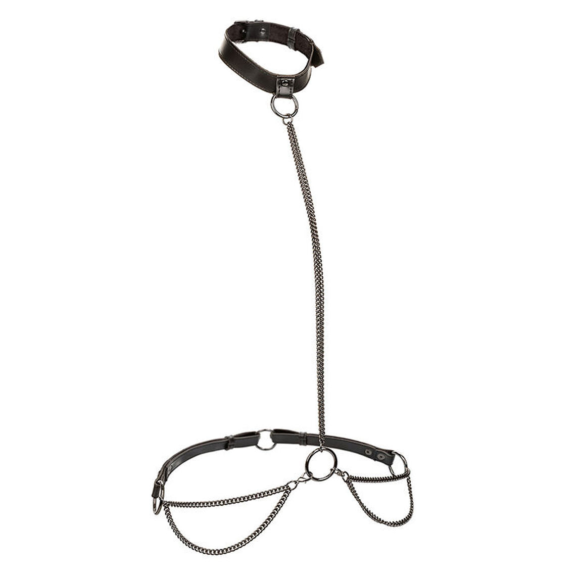 CALEXOTICS - EUPHORIA COLEIRA E TRELA DE CORRENTE 1