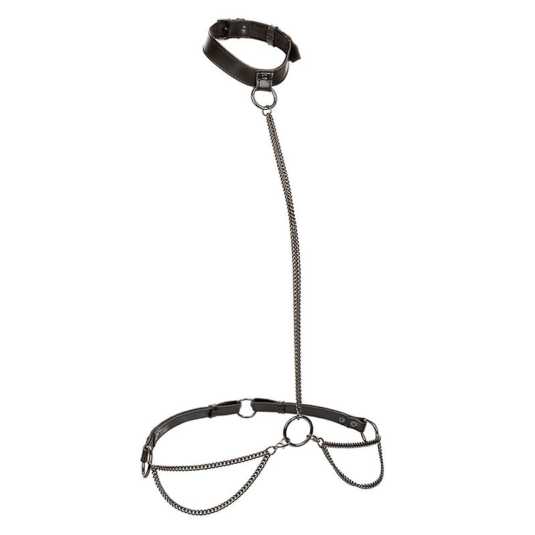 CALEXOTICS - EUPHORIA COLEIRA E TRELA DE CORRENTE 1