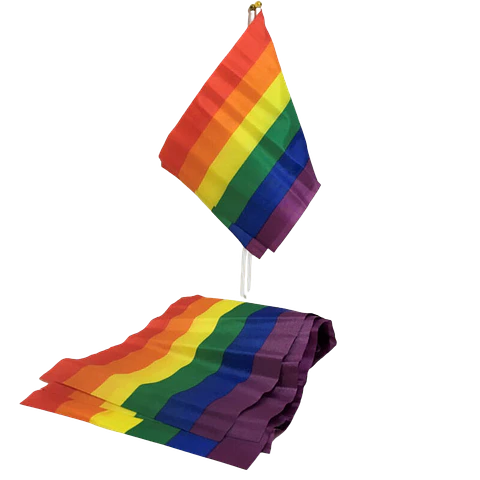 PRIDE - BANDEIRA LGBT BANDEIRA PEQUENA