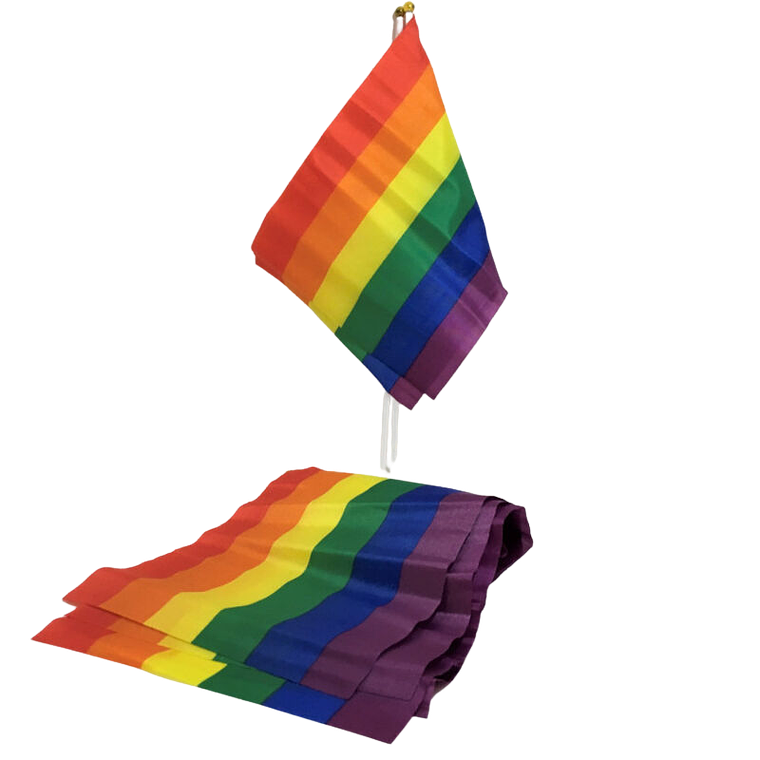 PRIDE - BANDEIRA LGBT BANDEIRA PEQUENA 1