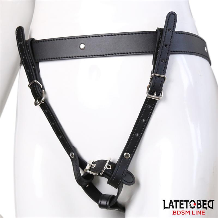 Harness Belt Adjustable 2