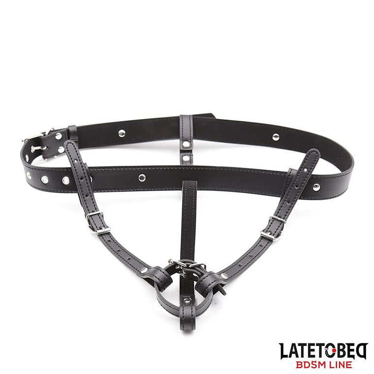 Harness Belt Adjustable 6