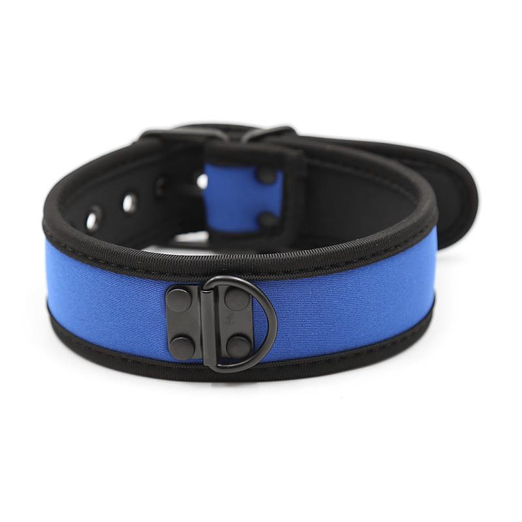Neoprene Puppy Collar Adjustable Blue 1