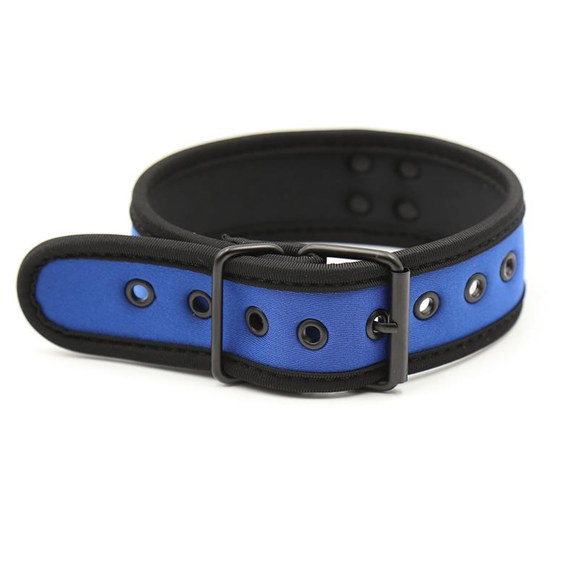 Neoprene Puppy Collar Adjustable Blue 3