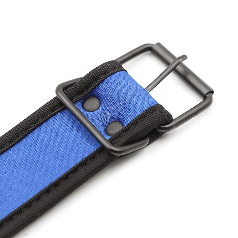 Neoprene Puppy Collar Adjustable Blue 4