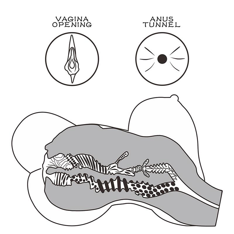 Masturbador Streetgirls 6 Dupla Entrada TPE Ultrarrealista 4
