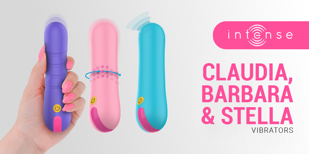 Introducing Sex Toys into a Relationship: A Guide for Couples