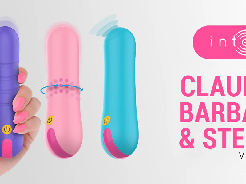 Introduzir Brinquedos Sexuais na Relação: Um Guia para Casais