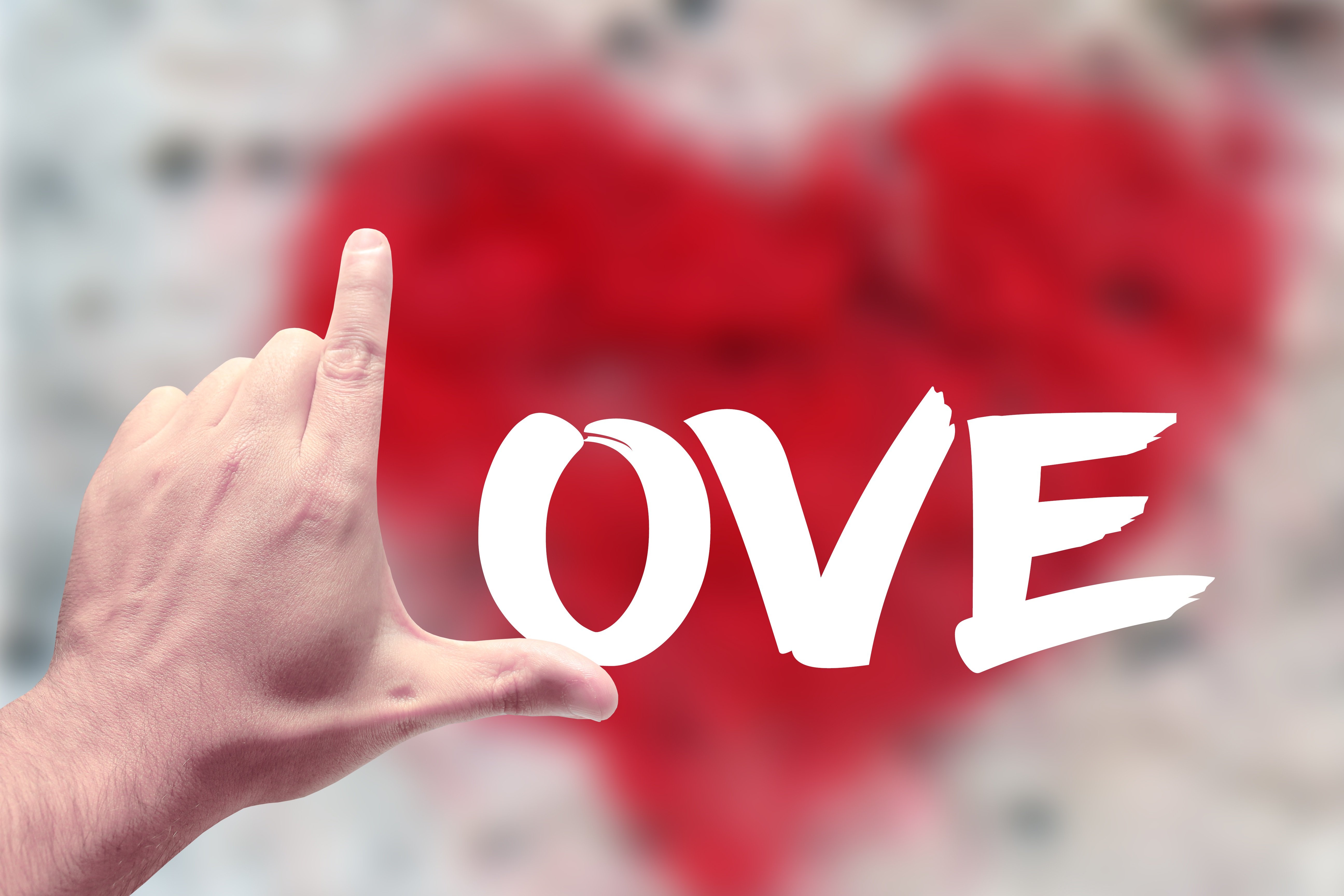 Vibra24 Partnerships: The Best in Pleasure for Hotels, Bars, and Adult Businesses