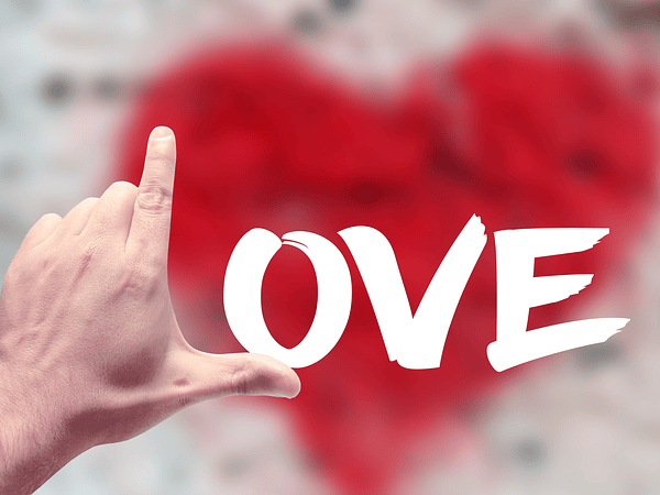 Parcerias Vibra24: O Melhor do Prazer para Hotéis, Bares e Negócios Adulto