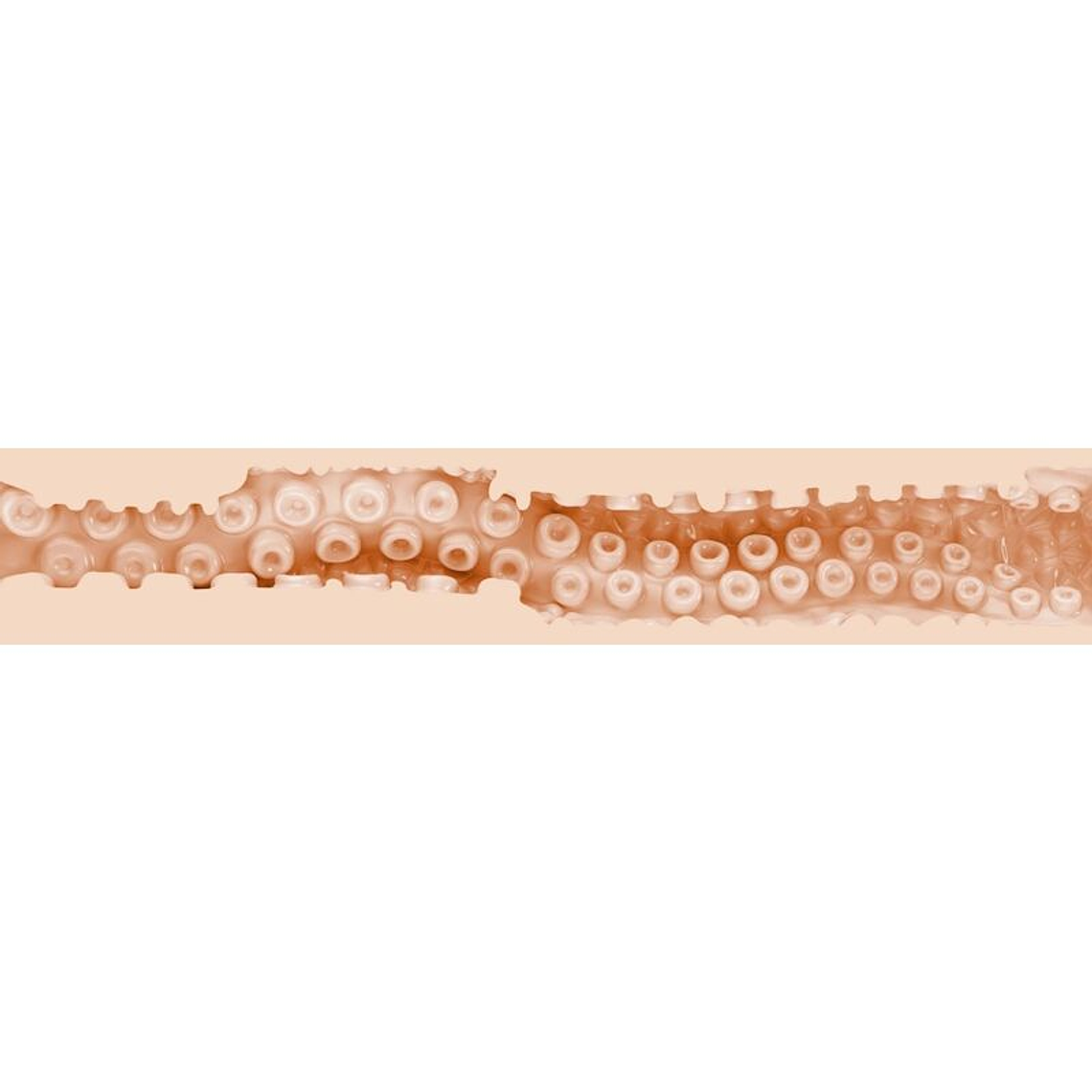 Masturbador Fleshlight Fantasia Sasha Nakamoto Textura Ecchi Anime 4