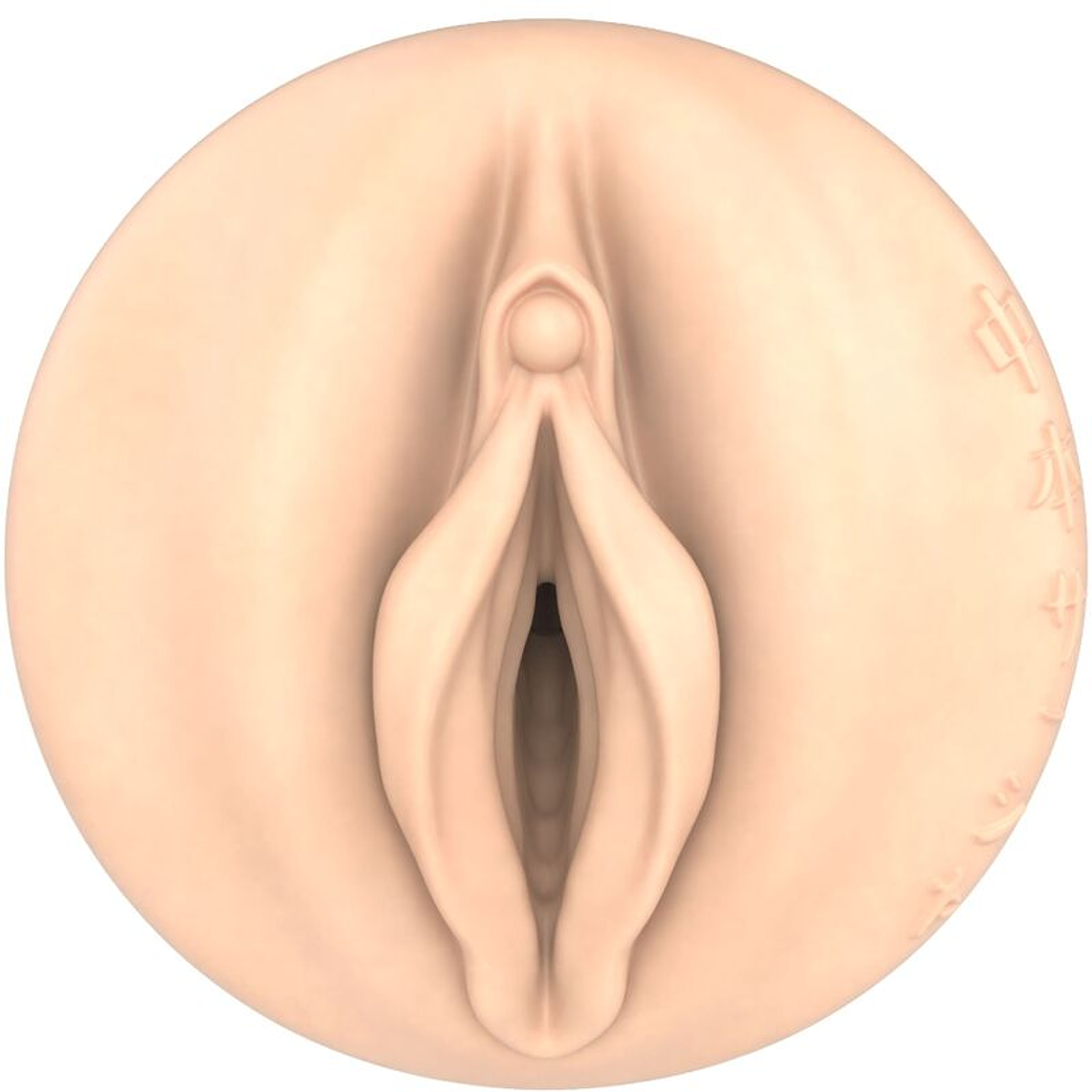 Masturbador Fleshlight Fantasia Sasha Nakamoto Textura Ecchi Anime 3