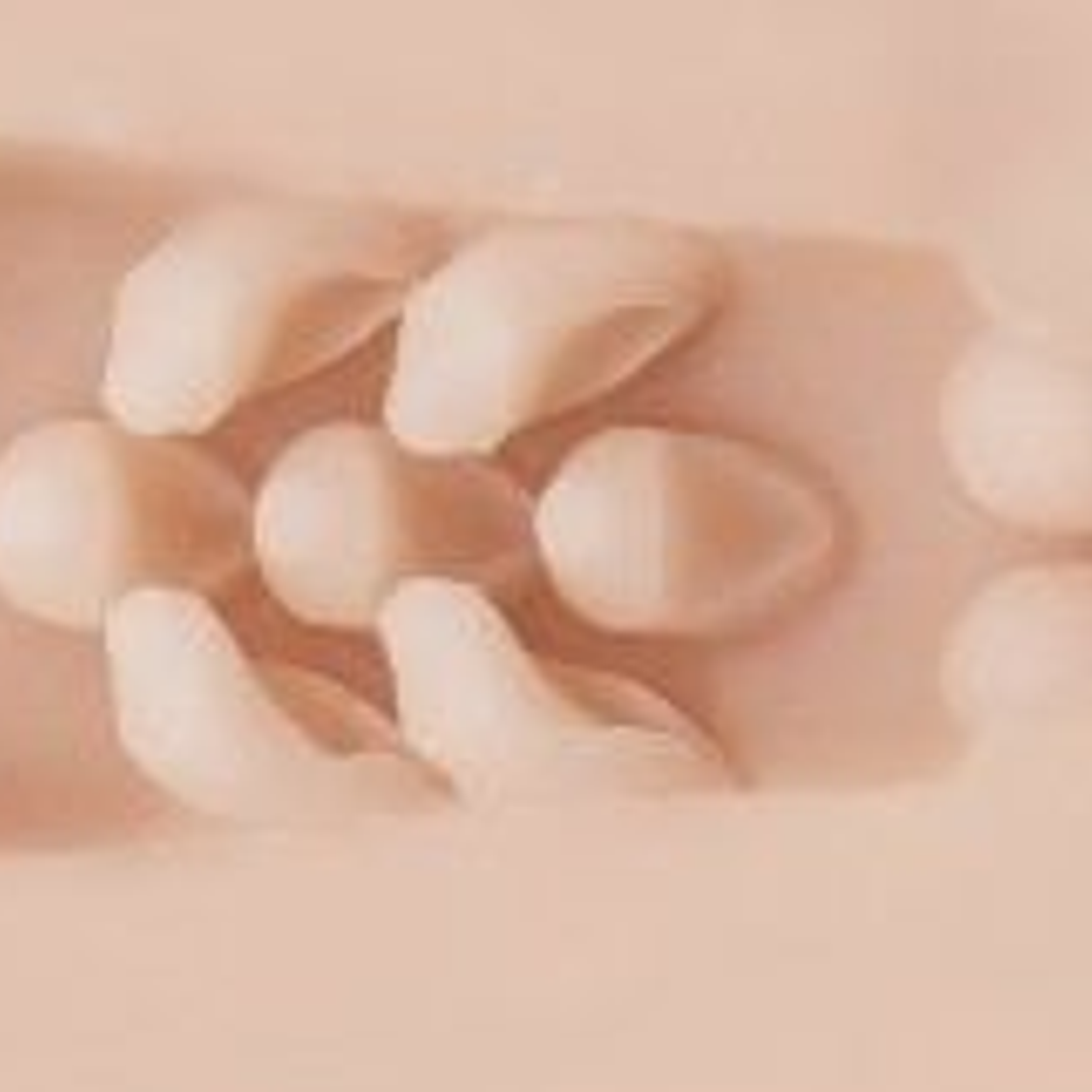 Le masturbateur Fleshlight Stoya détruit la texture du vagin 4