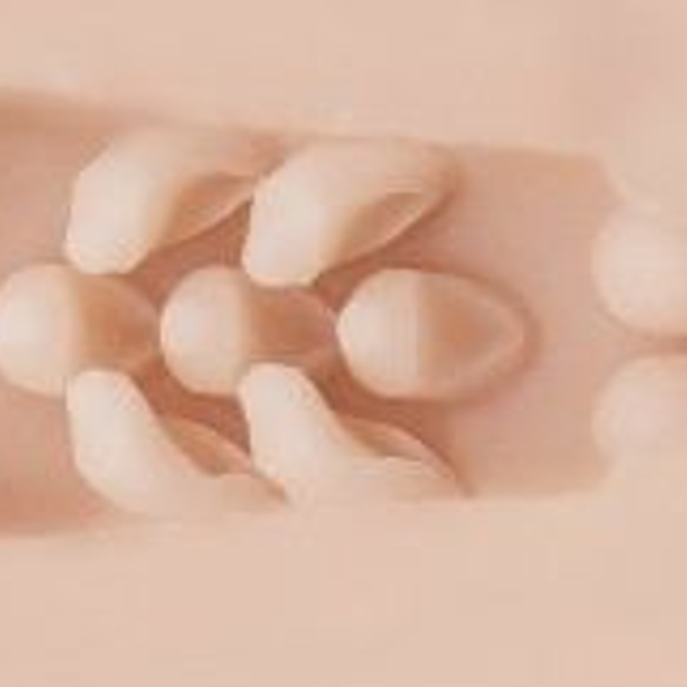 Le masturbateur Fleshlight Stoya détruit la texture du vagin 4