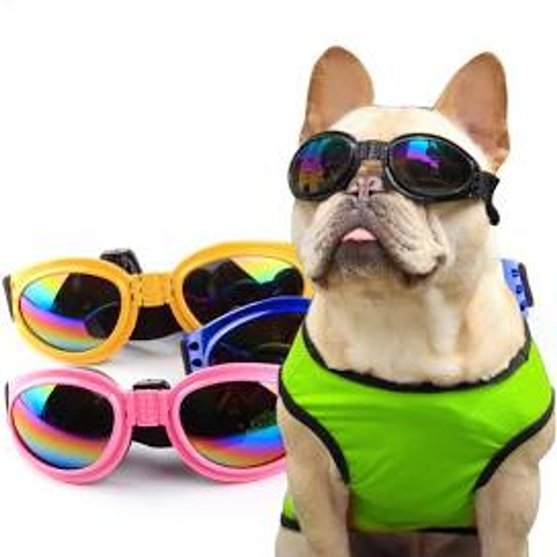 Gafas para perros 1