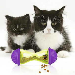 Alimentadores interactivos para gatos 