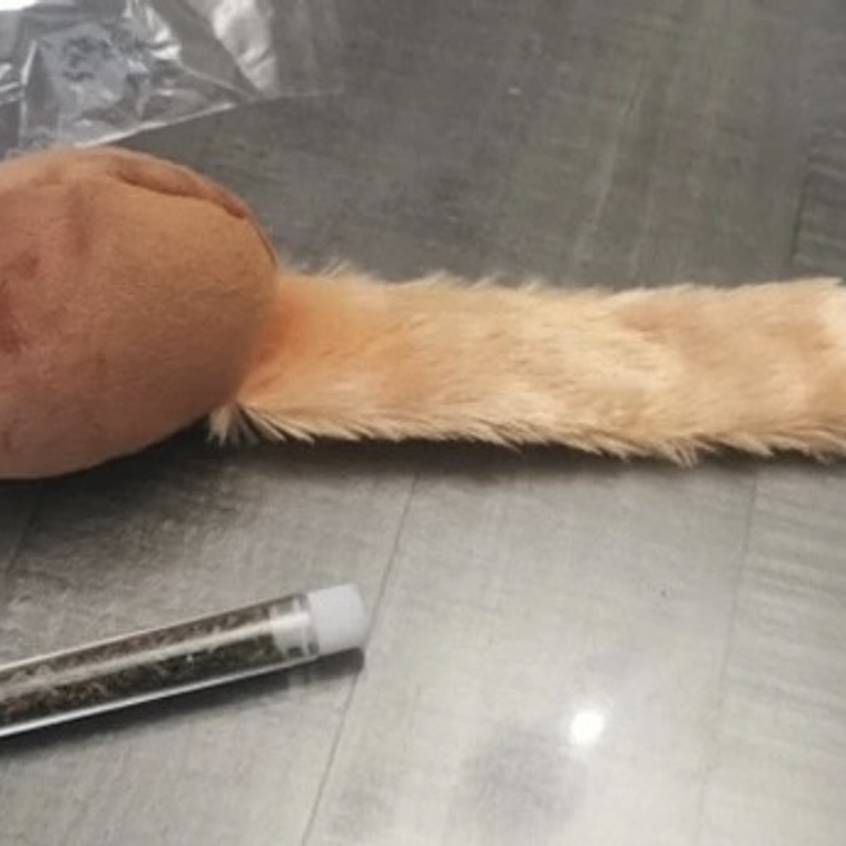 Ratón con hierba gatera  4