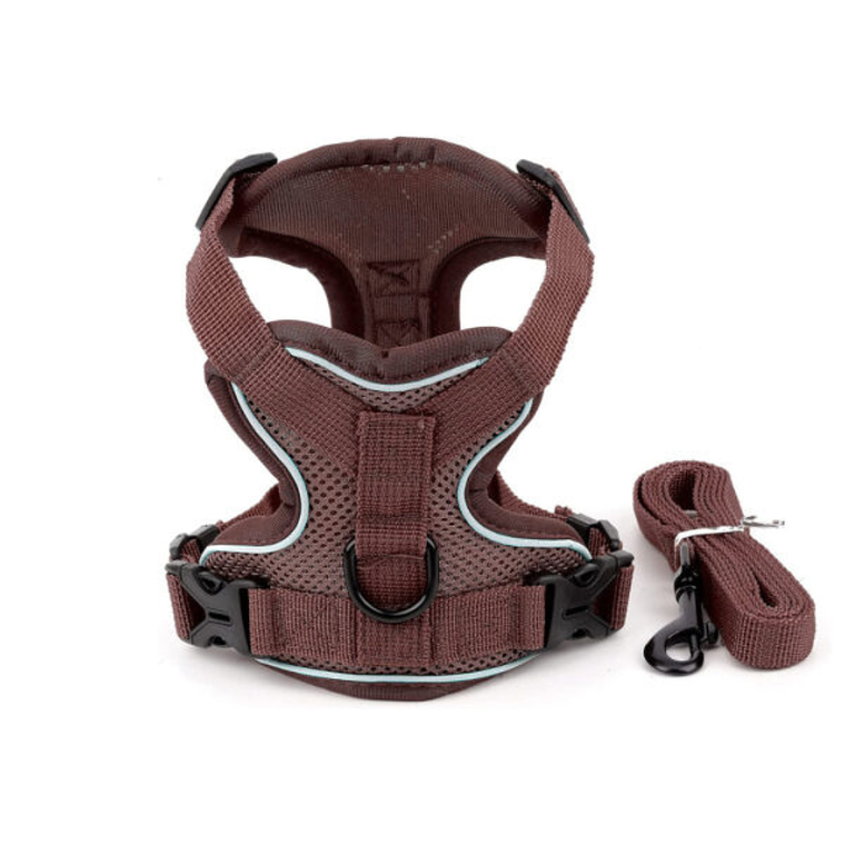 Arnés para mascota  6