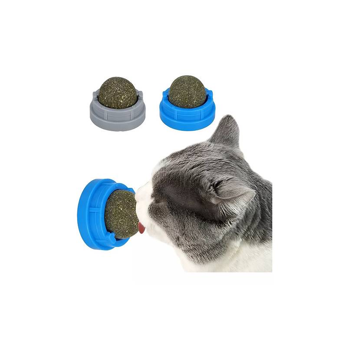 Bolita hierba gatera  1