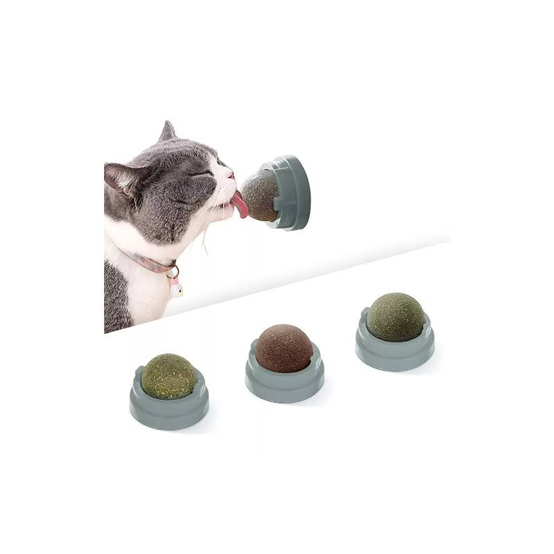 Bolita hierba gatera  3