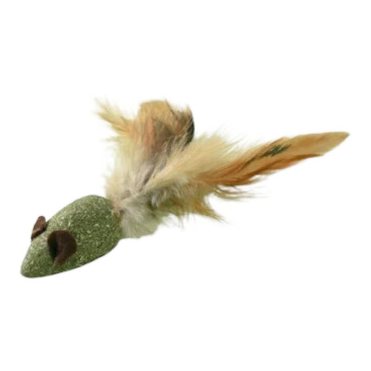 Raton de hierba gatera  1