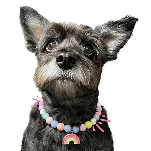 Collar de perla para mascotas 