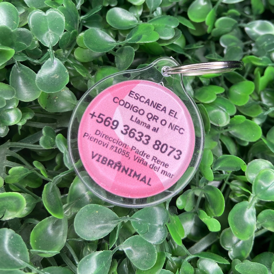 Plaquita identificacion Anti Perdida  2