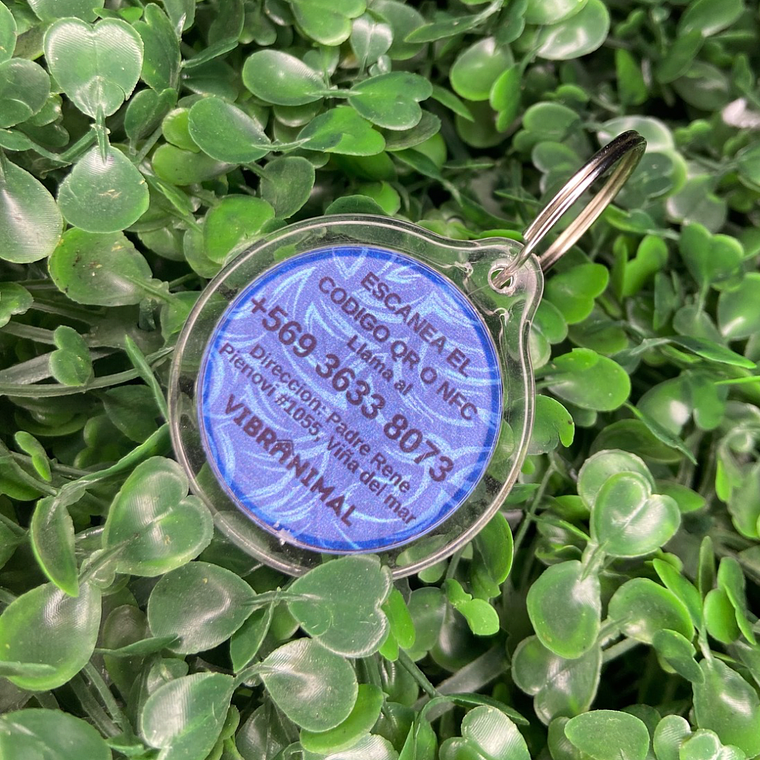 Plaquita identificacion Anti Perdida  4