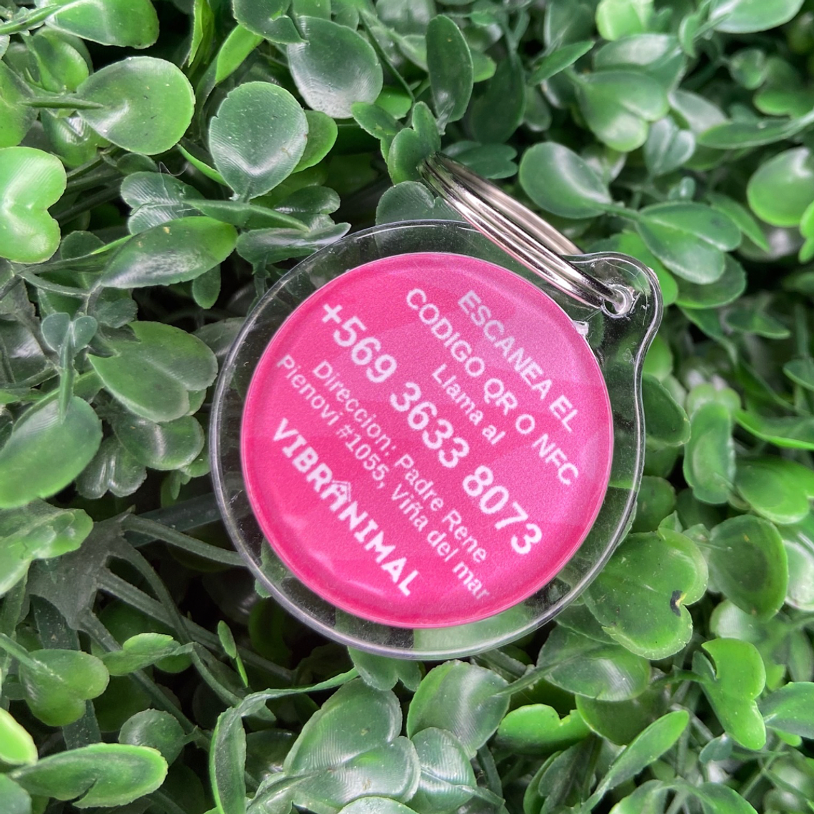 Plaquita identificacion Anti Perdida  6