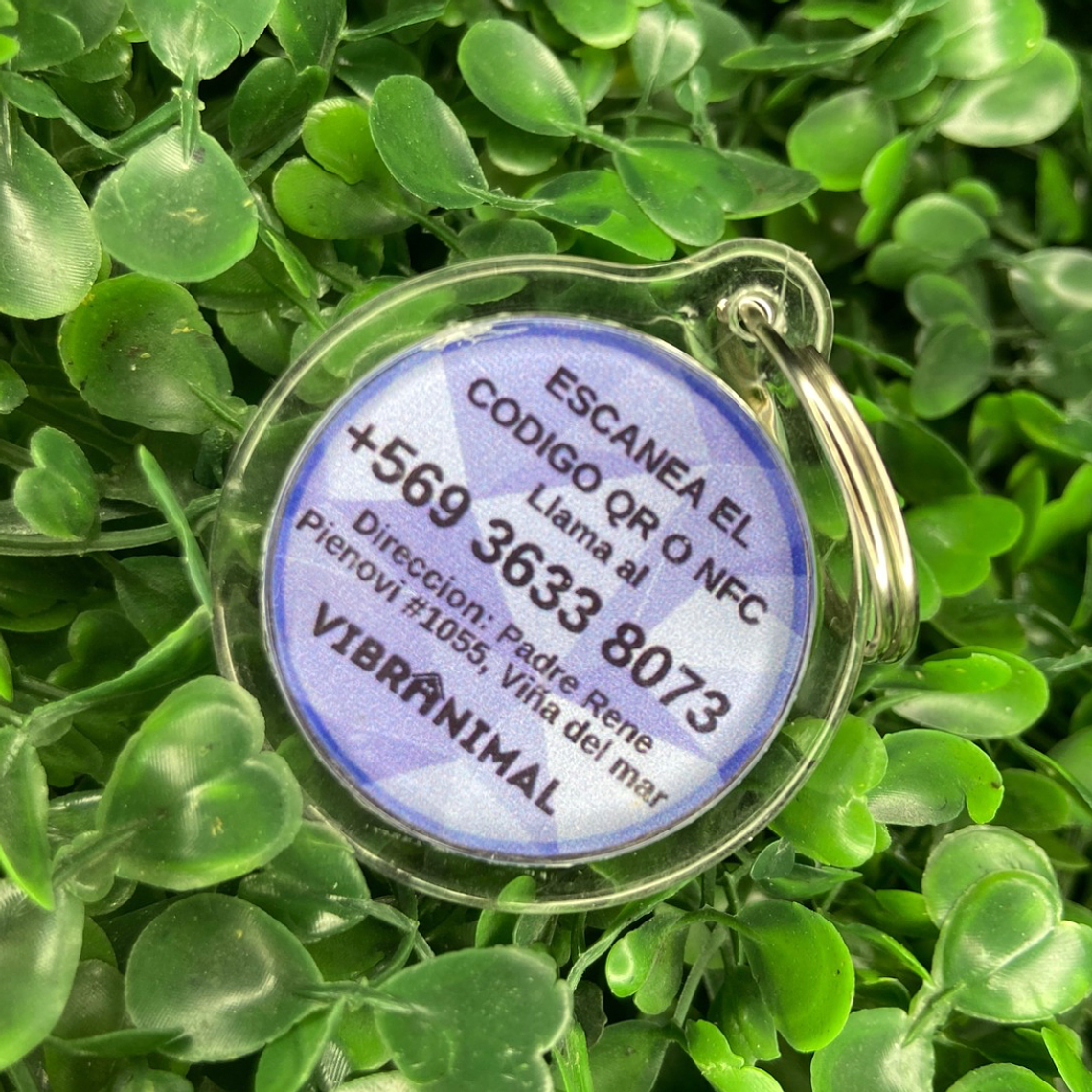 Plaquita identificacion Anti Perdida  12