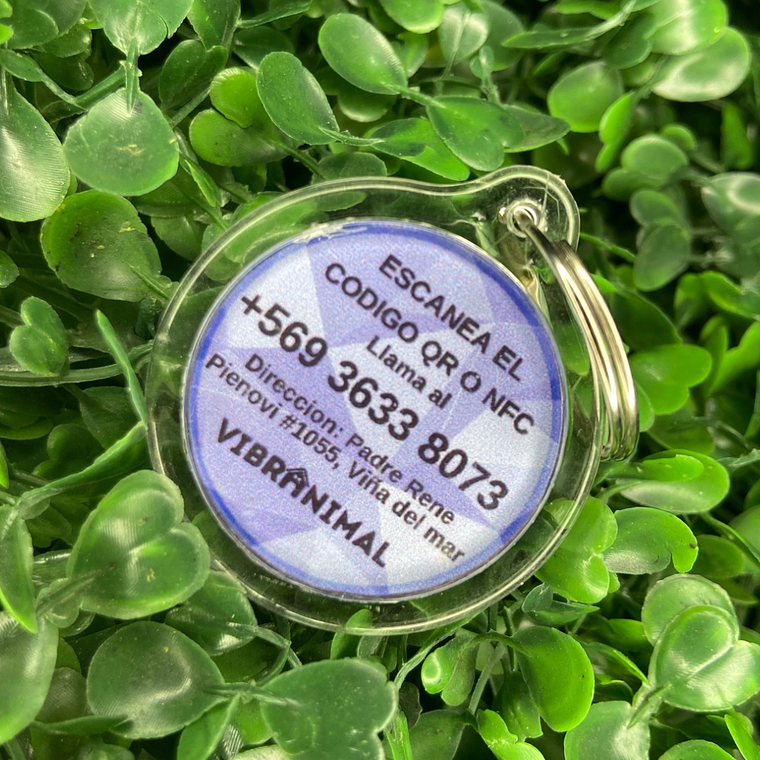 Plaquita identificacion Anti Perdida  12