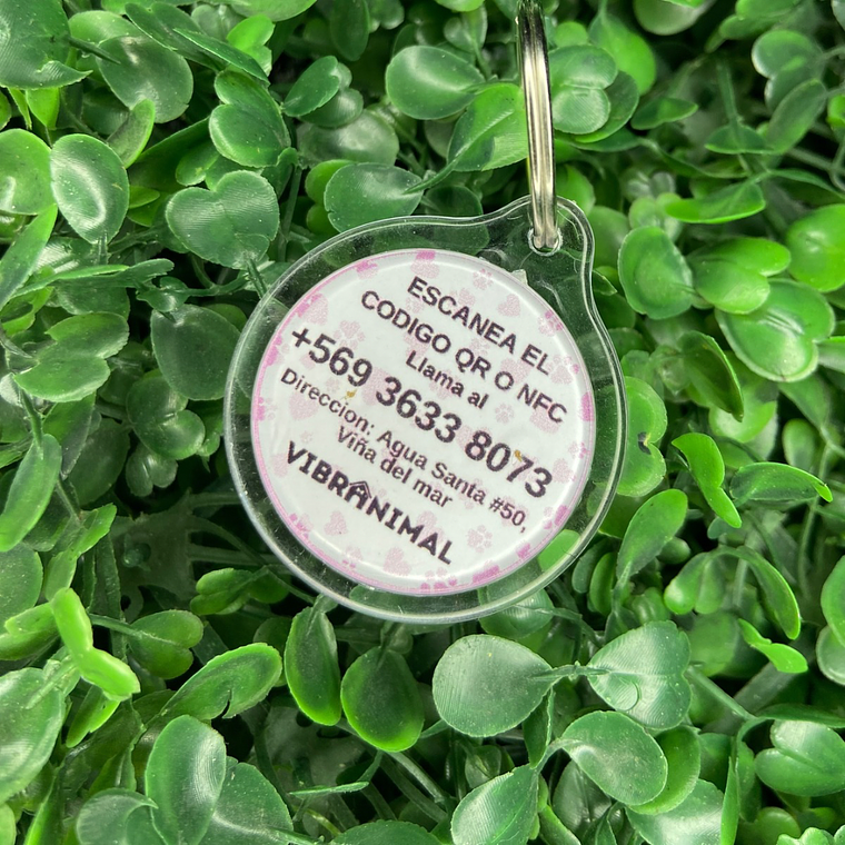 Plaquita identificacion Anti Perdida  10