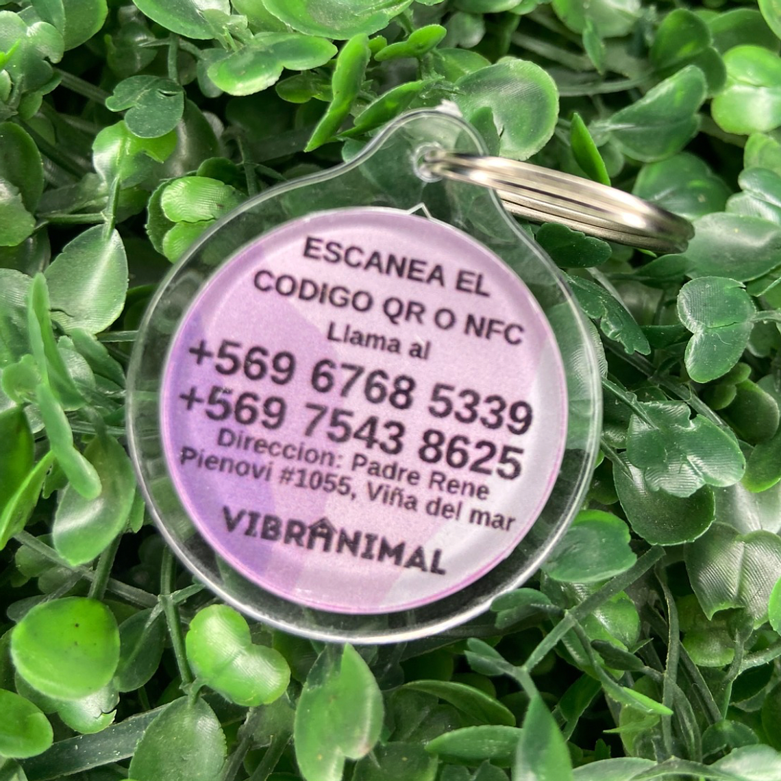 Plaquita identificacion Anti Perdida  8