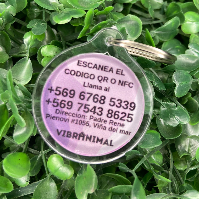 Plaquita identificacion Anti Perdida  8