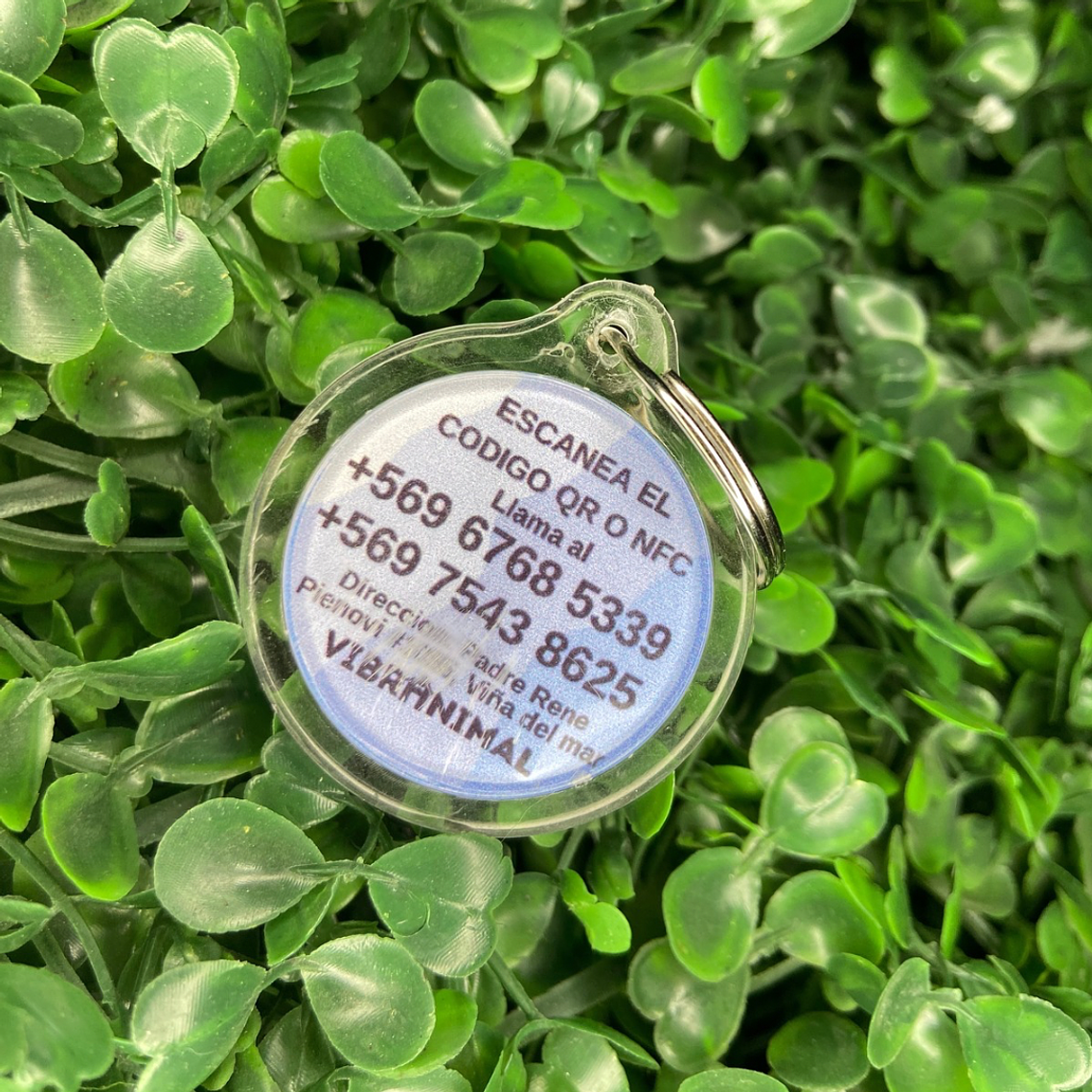 Plaquita identificacion Anti Perdida  14