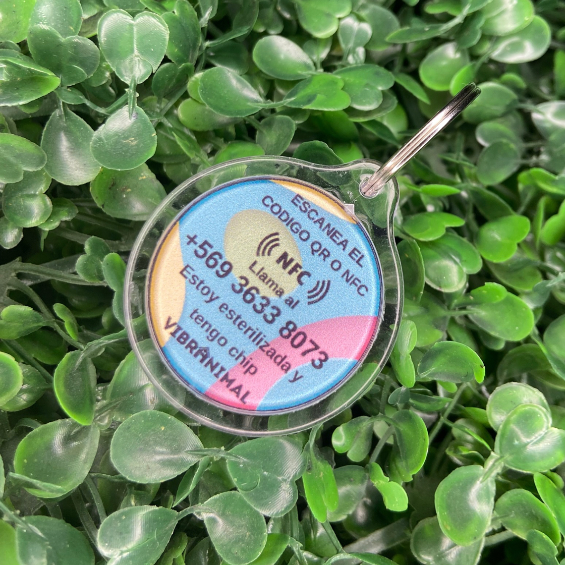 Plaquita identificacion Anti Perdida  18