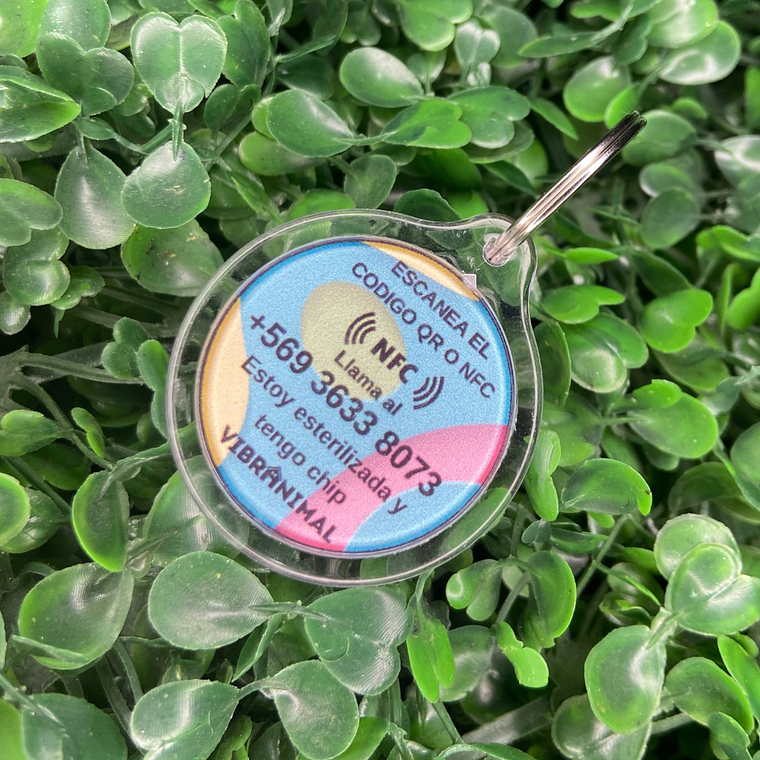 Plaquita identificacion Anti Perdida  18