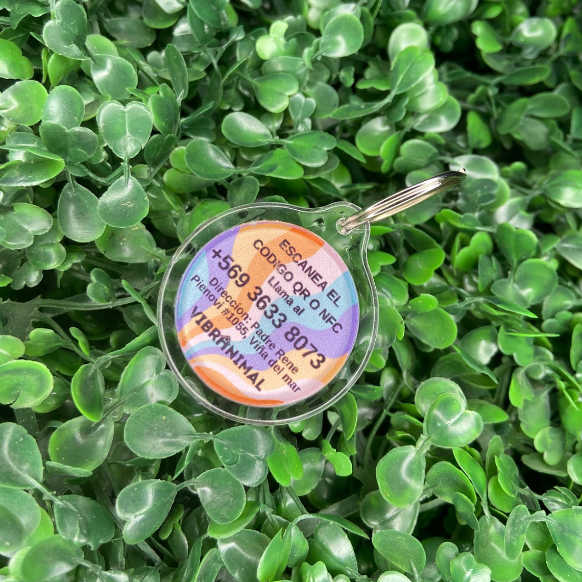 Plaquita identificacion Anti Perdida  20