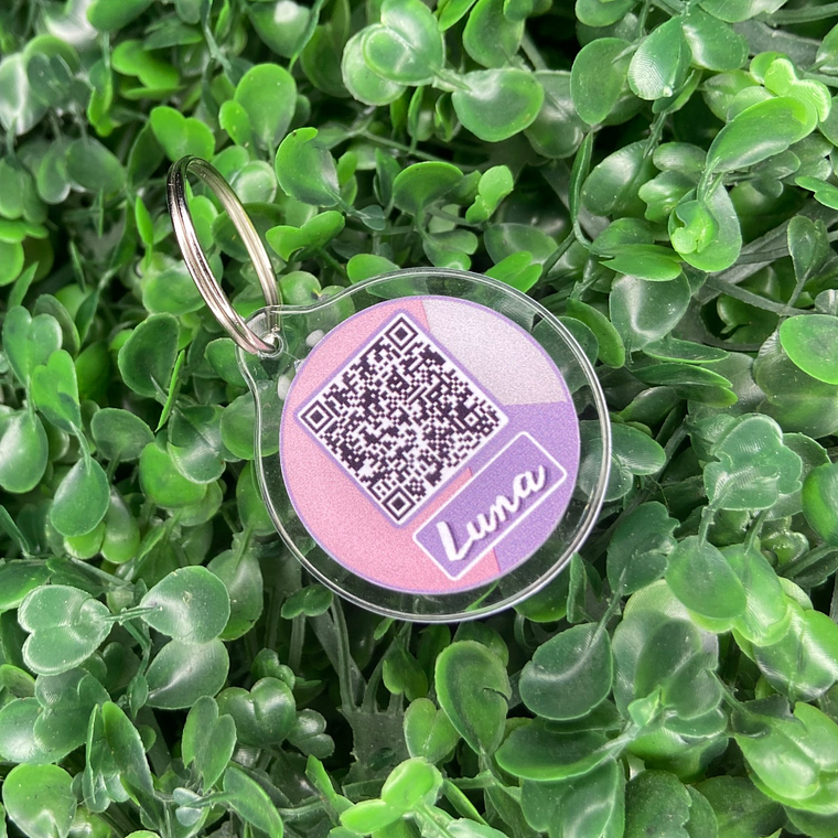 Plaquita identificacion Anti Perdida  21