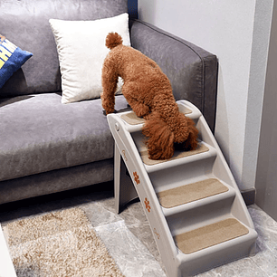 Escalera para proteger sus articulaciones