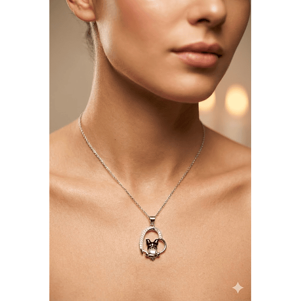 Dije Bull Dog Plata 925 + Cadena Plata 925 3