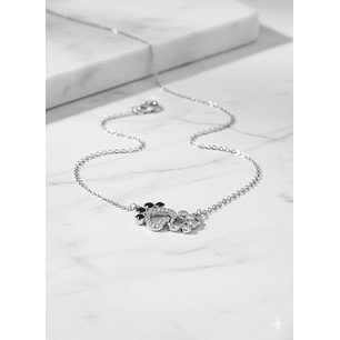 Collar de Patitas en corazon Plata 925 