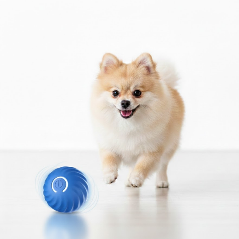 Pelota Interactiva – Envio Gratis 4