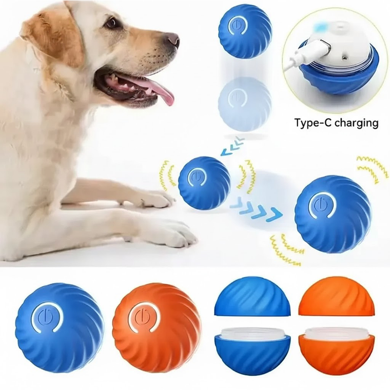 Pelota Interactiva – Envio Gratis 7