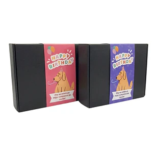 Birthday Box Mascotas — Todo para su cumple en una sola caja: snacks y juguetes — Envío Gratis