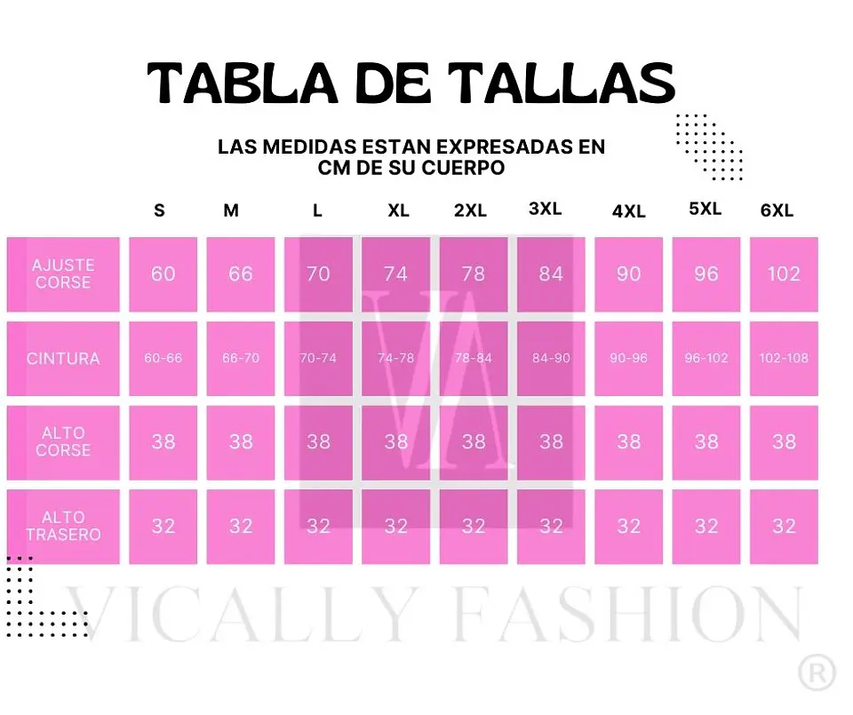 Corsé Renacentista Plateado 2