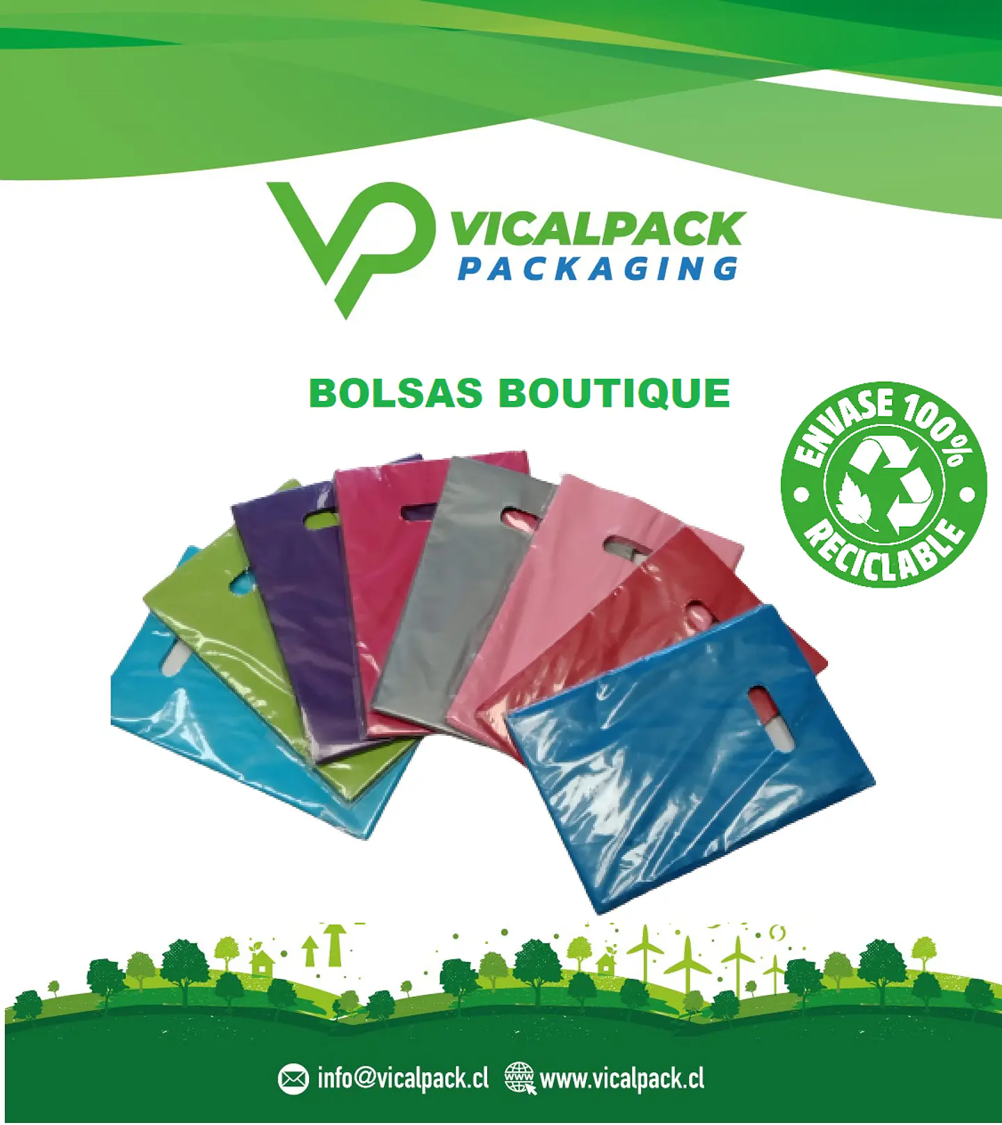 Bolsas Boutique 1