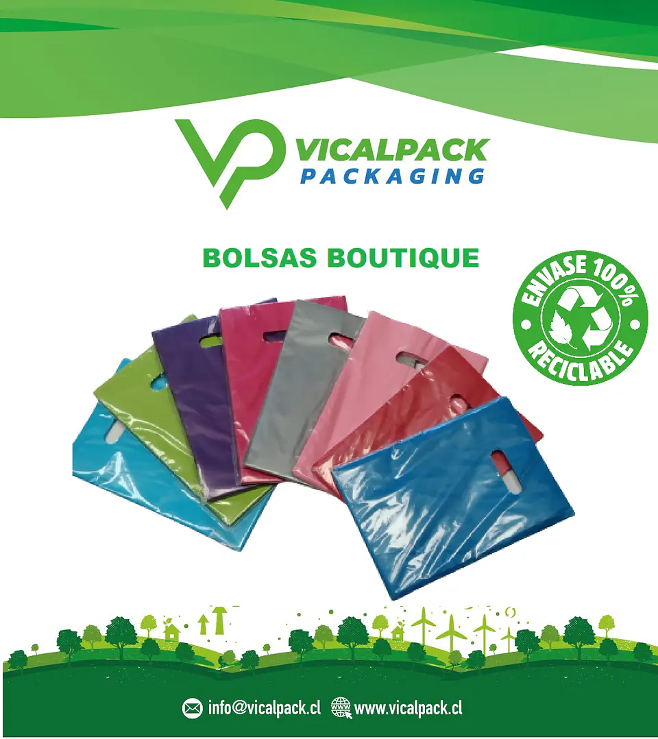 Bolsas Boutique 1