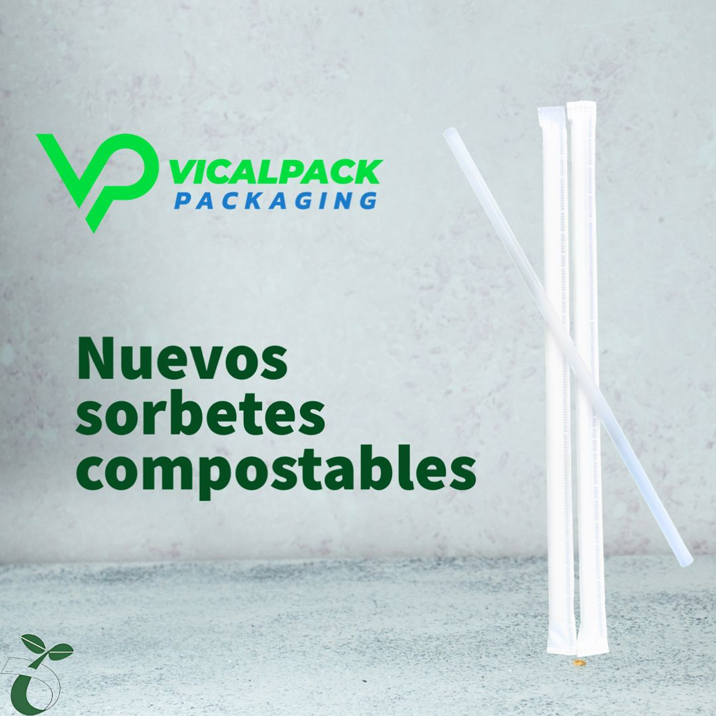 Bombillas compostables con funda  233 mm caja X 8000 unidades 1